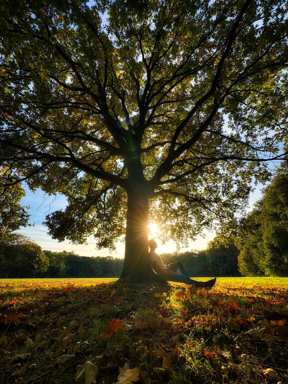 Breaking the pattern of failures