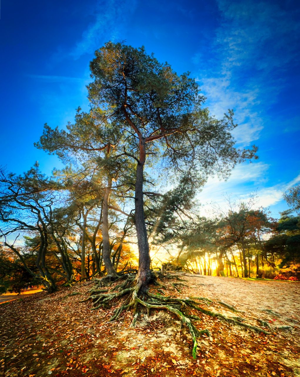 The strongest parts of you are invisble